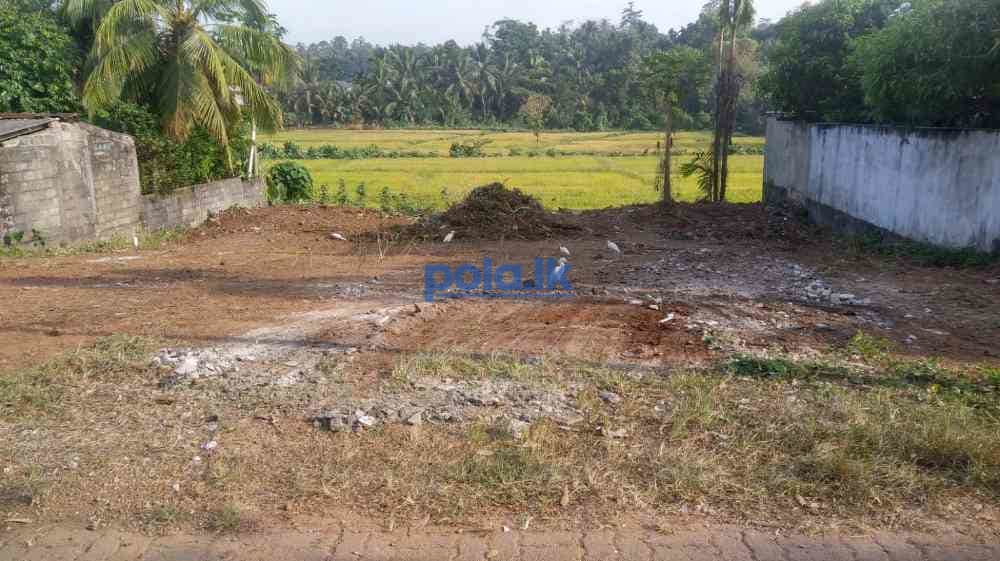Land for sale in horana - photo 2