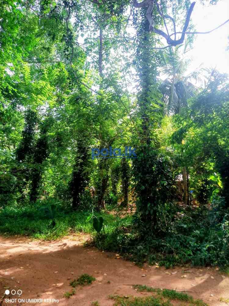 Land for sale - photo 17