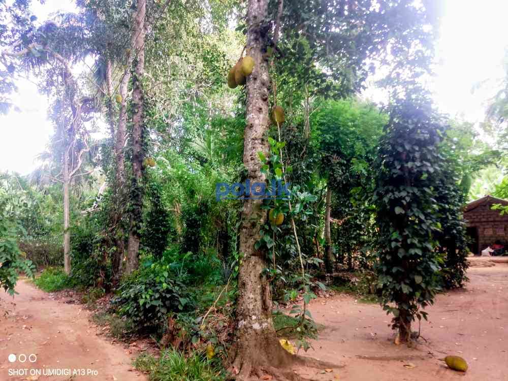 Land for sale - photo 18