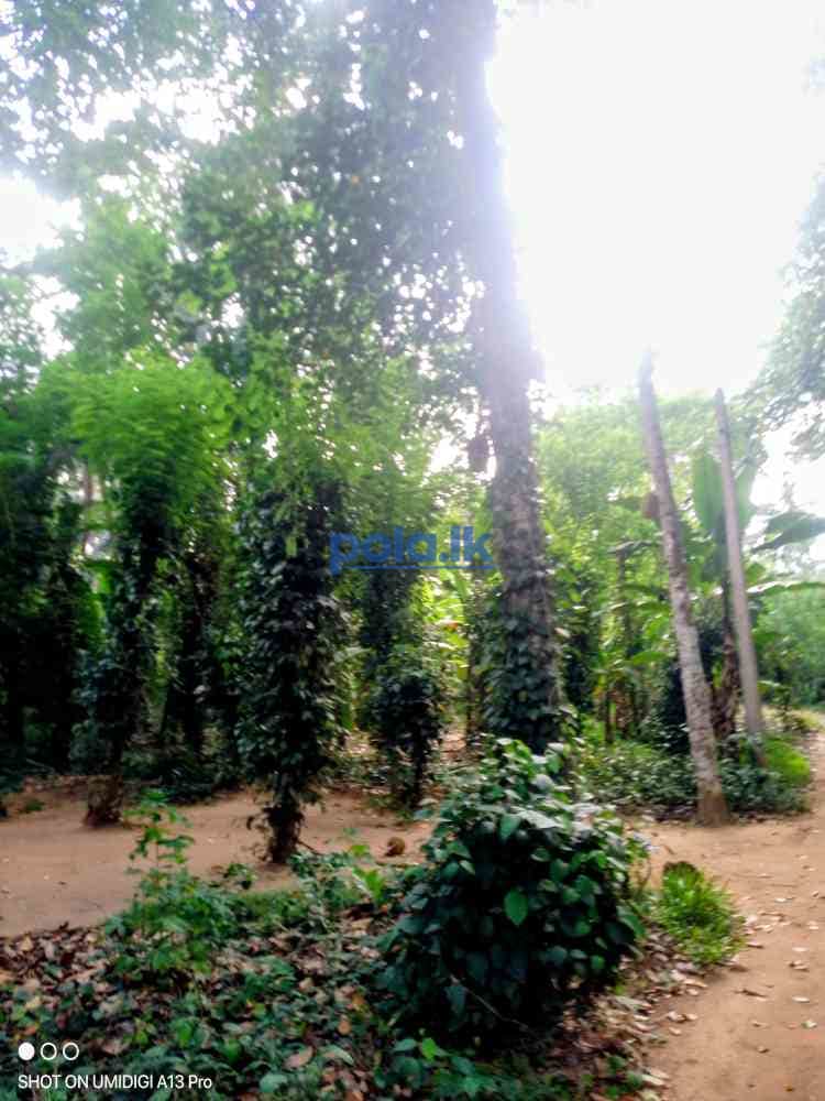 Land for sale - photo 14