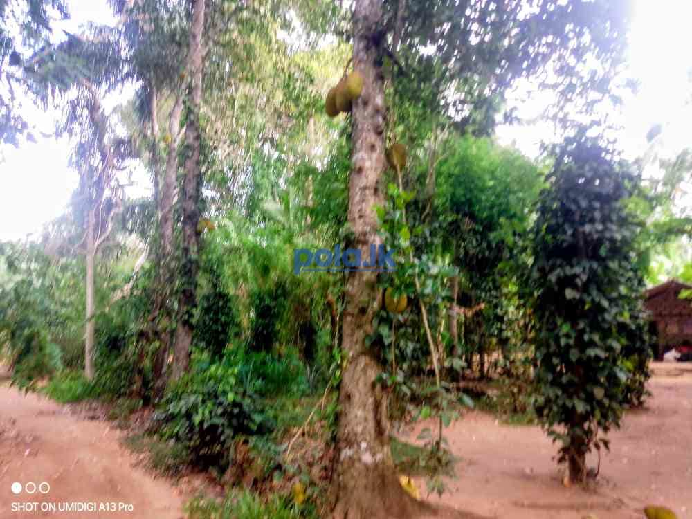 Land for sale - photo 15