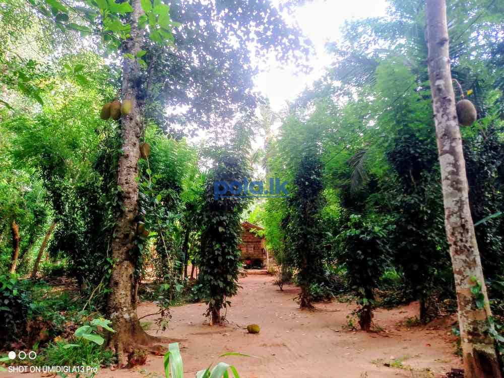 Land for sale - photo 19