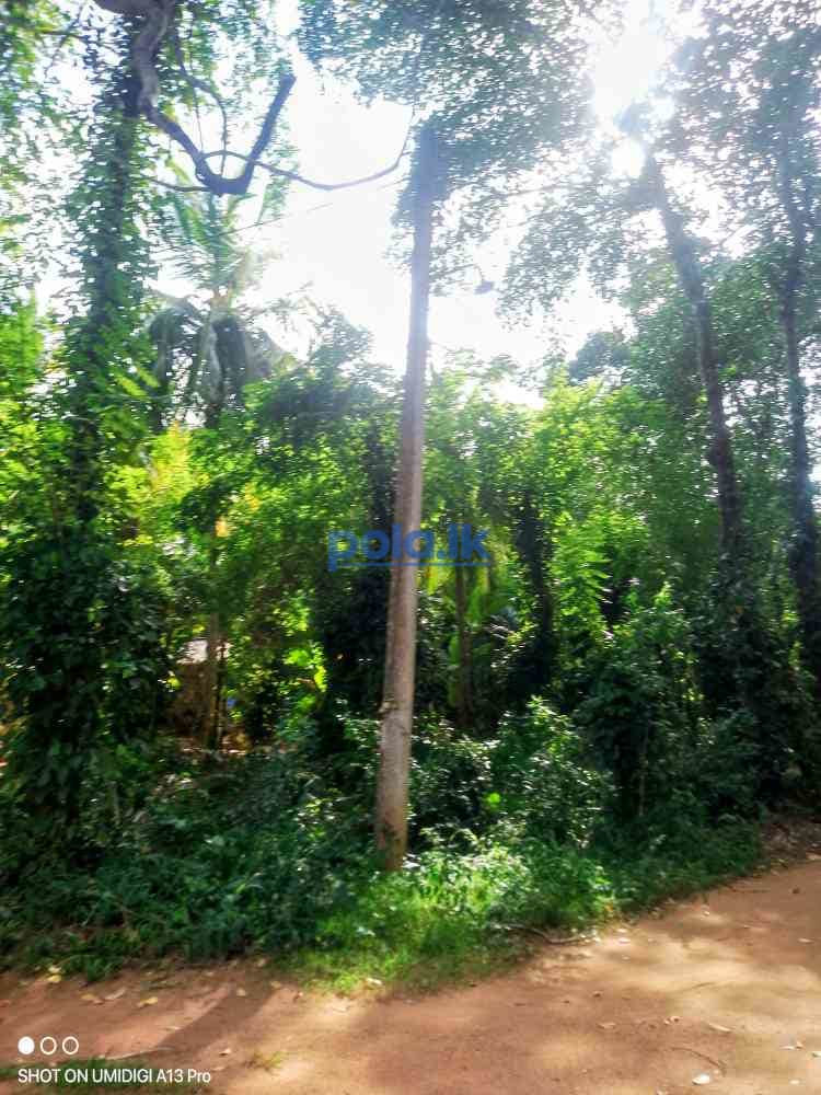 Land for sale - photo 16