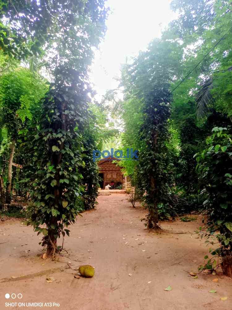 Land for sale - photo 13