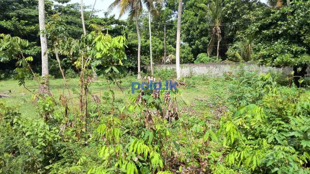 136P Land for sale in hikkaduwa - photo 10