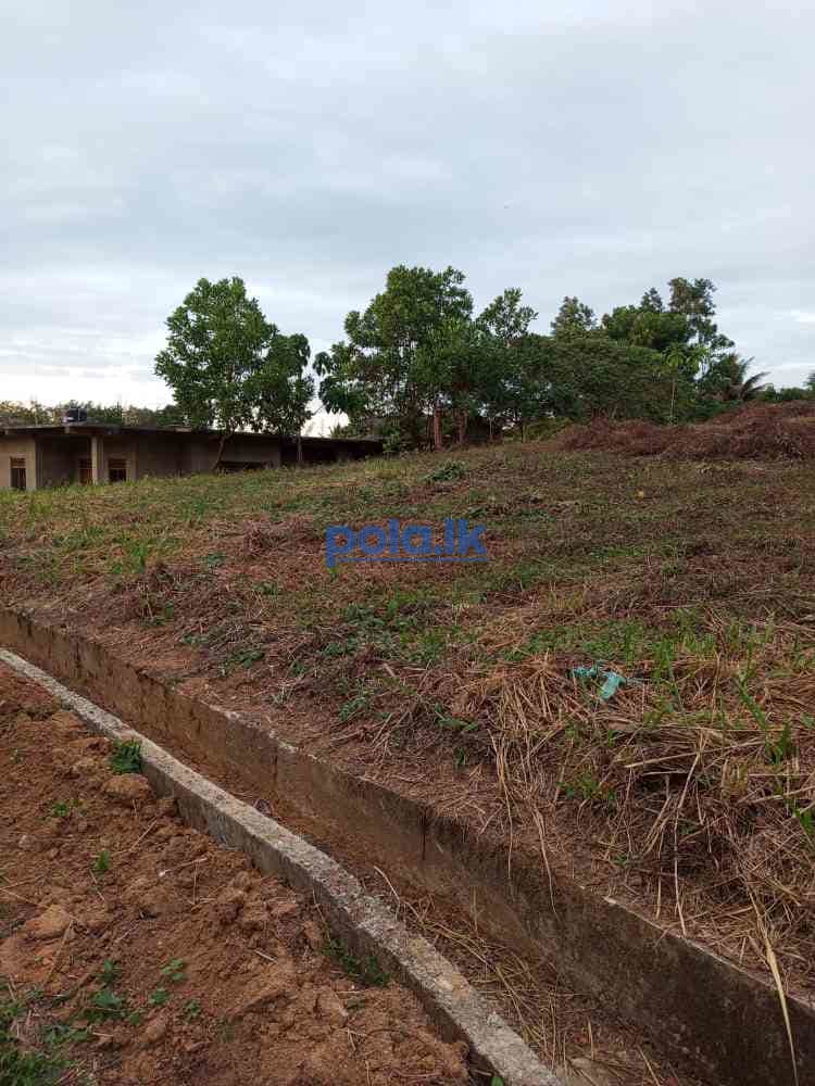 Land plots for sale near hilevel road salawa - photo 1