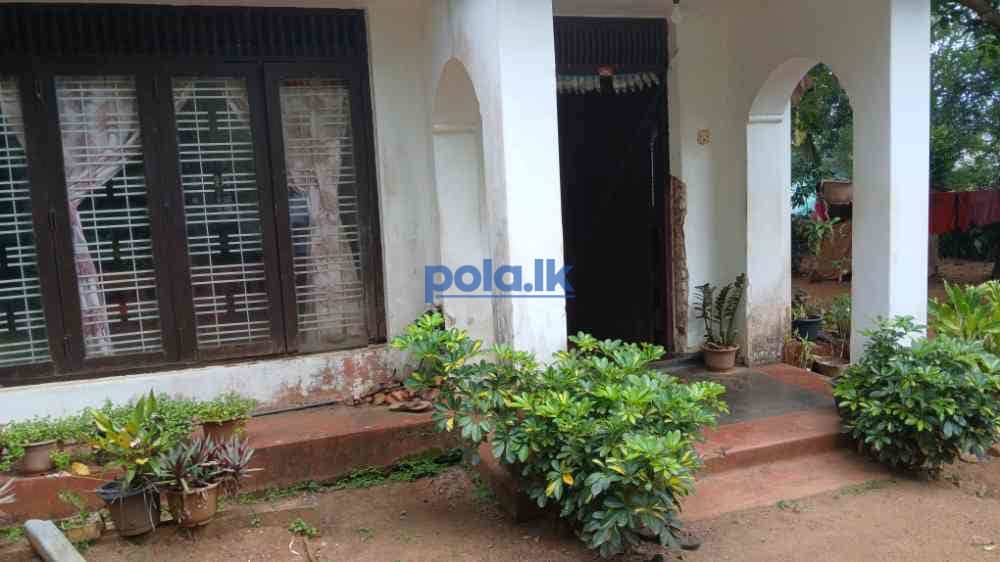Land with house for sale in rattota - photo 4