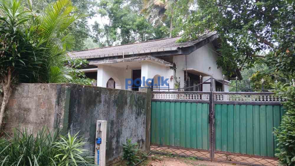 Land with house for sale in rattota - photo 2