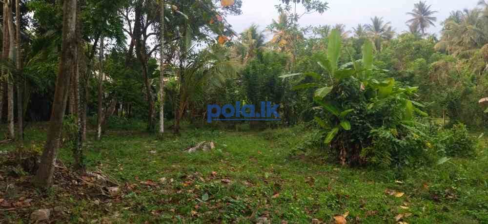 Land for sale in horana - photo 6