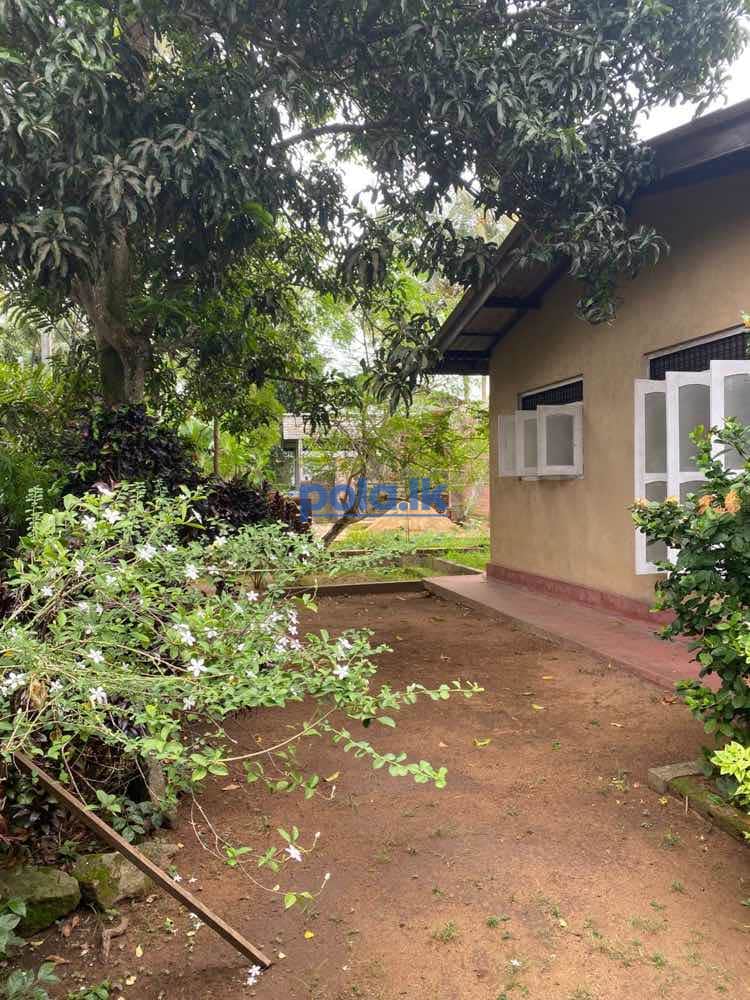 House for sale with land - photo 1