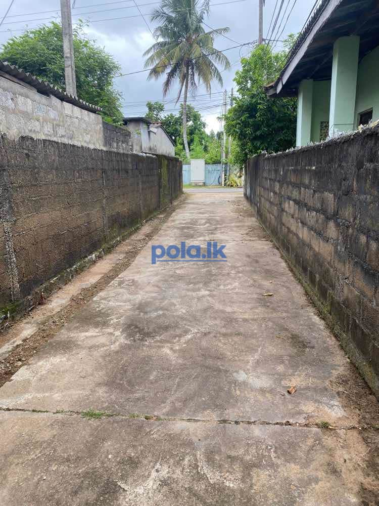 House for sale with land - photo 4
