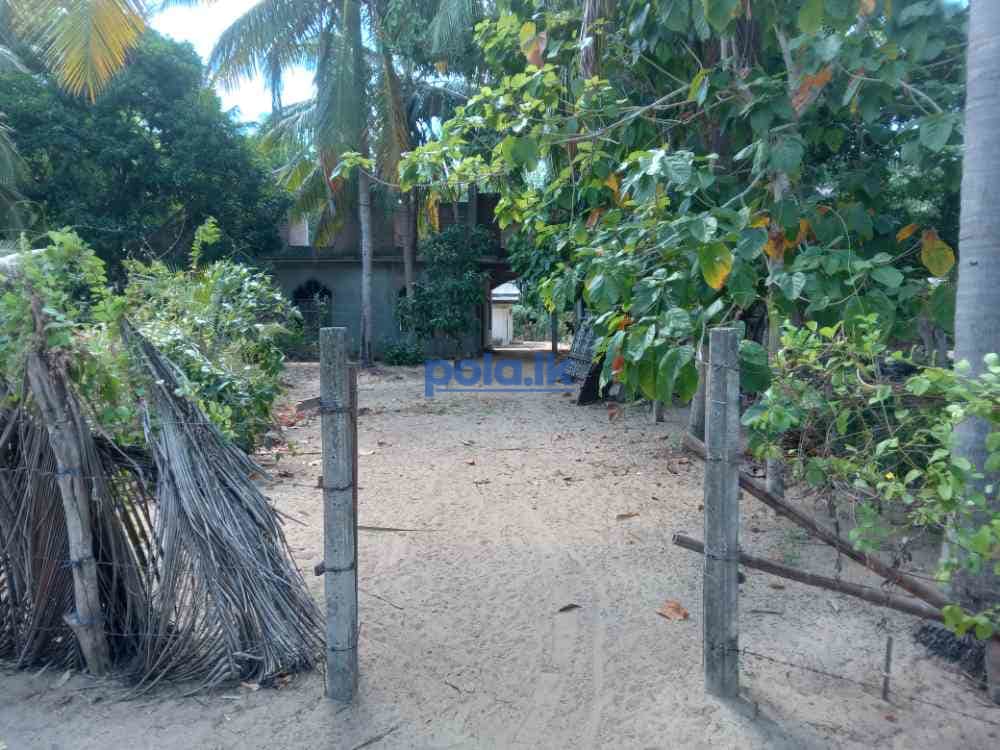 House for sale in panama - photo 3