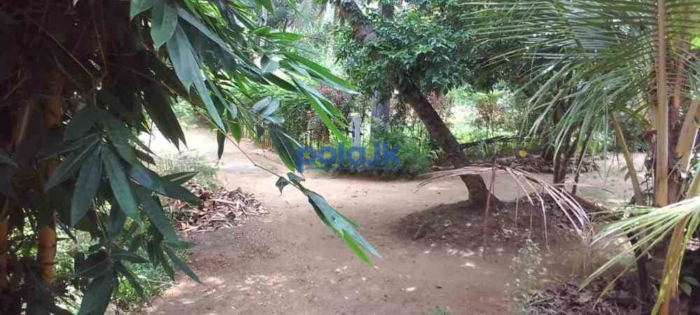 Land for sale with semi-finished house - photo 3