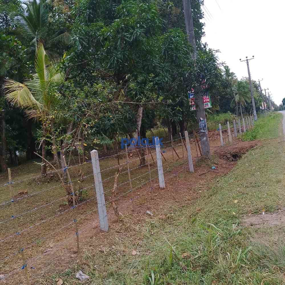 Land for sale in wariyapola - photo 4