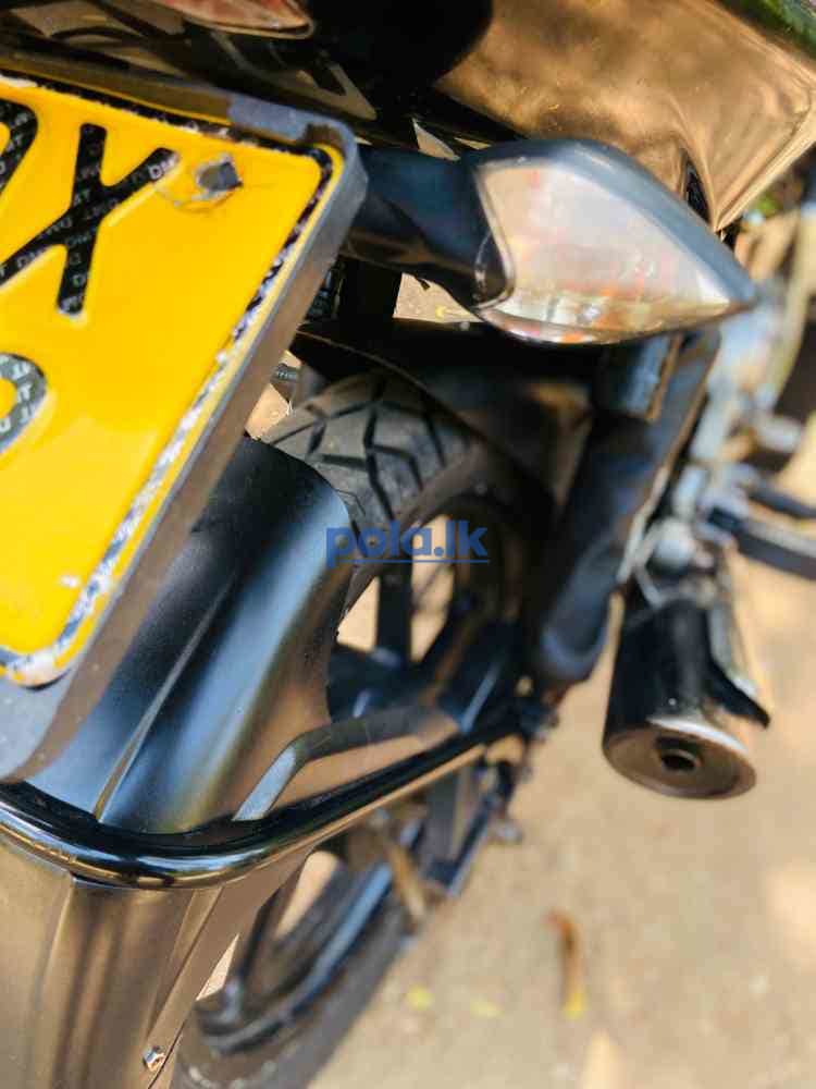 Pulsar 135 2016 - photo 4