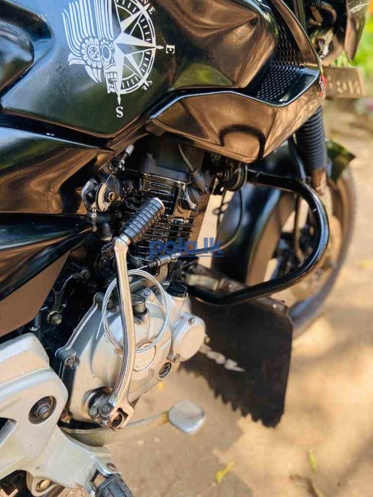 Pulsar 135 2016 - photo 5