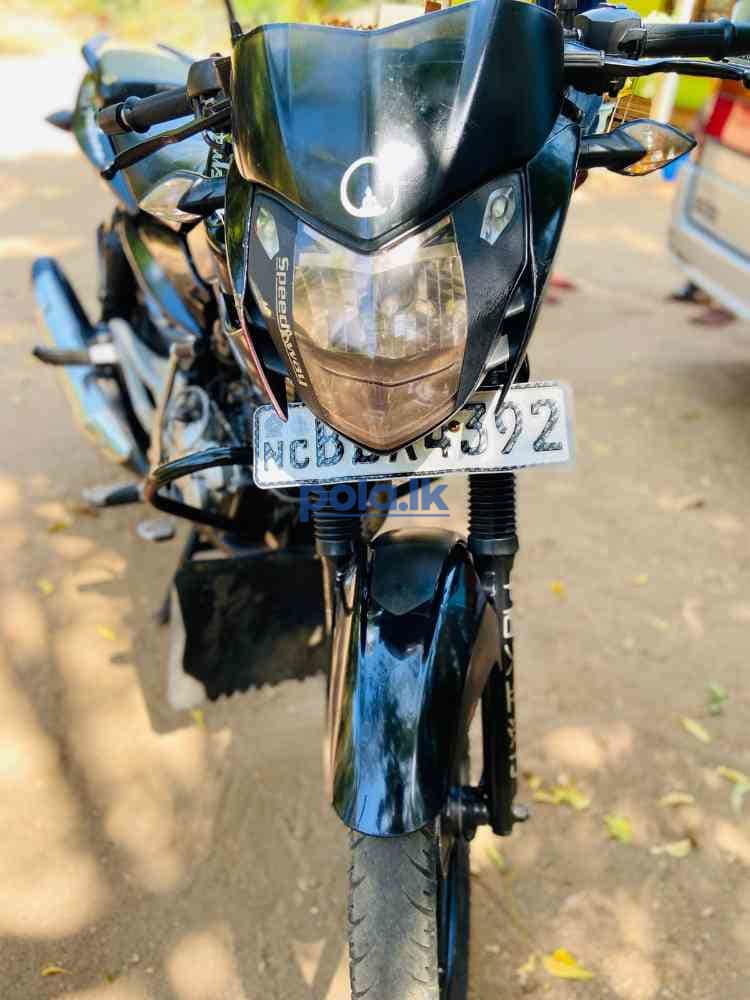 Pulsar 135 2016 - photo 9