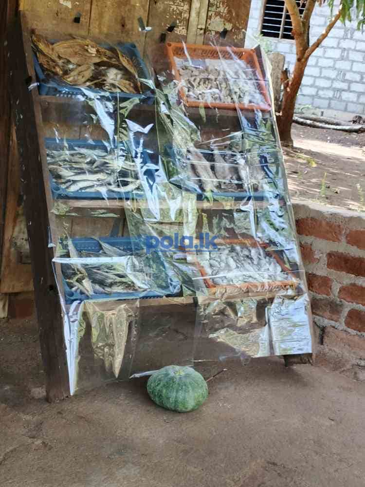 SK dry fish - photo 1