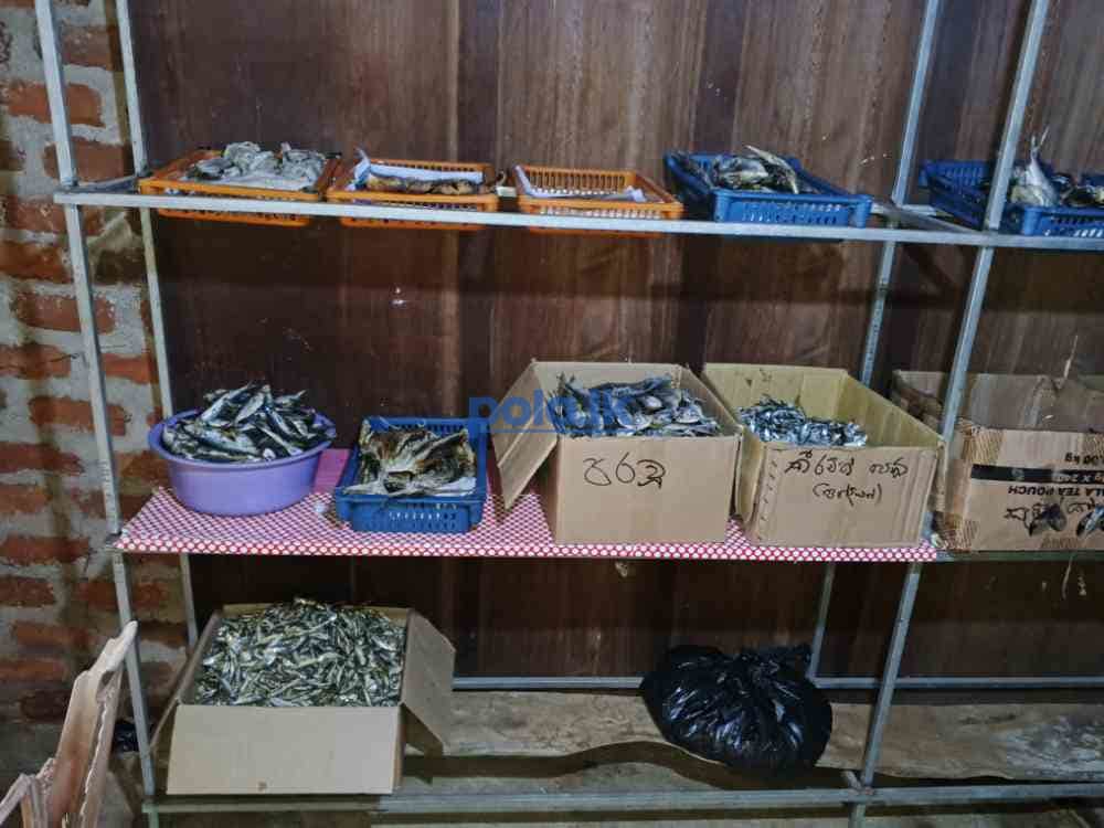 SK dry fish - photo 3