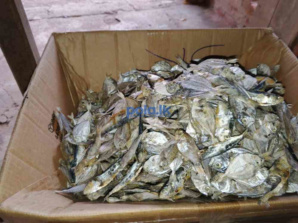 SK dry fish - photo 2
