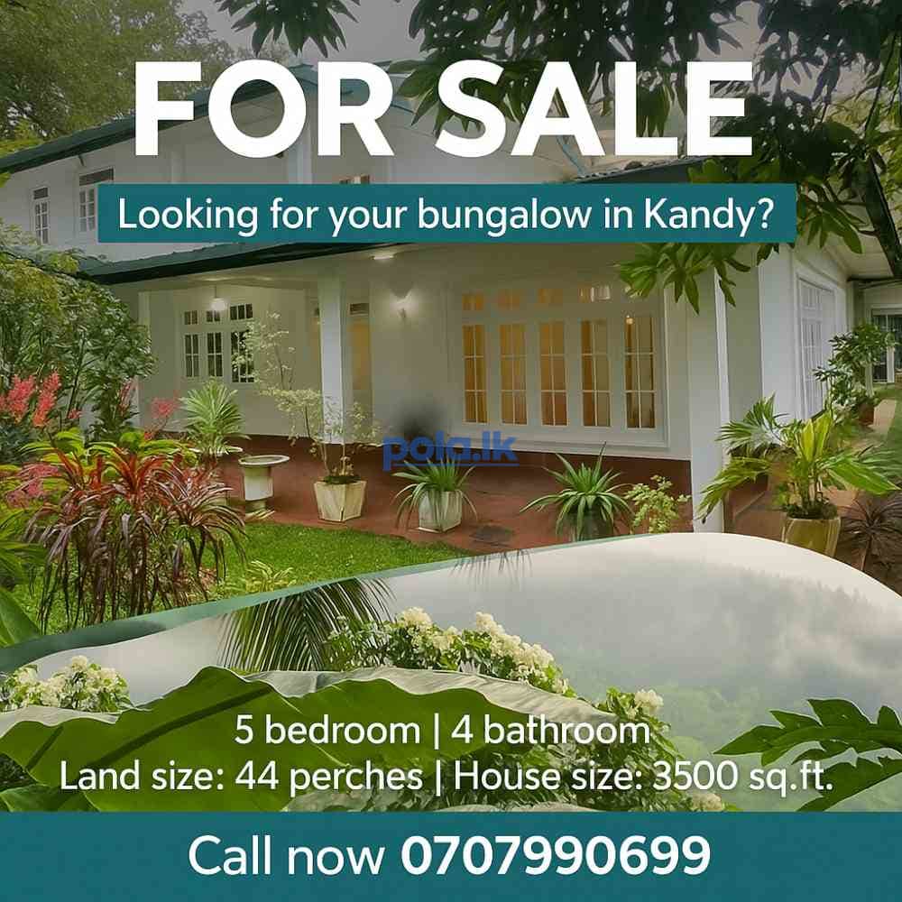 Live in luxury near to amaya hills kandy - photo 5