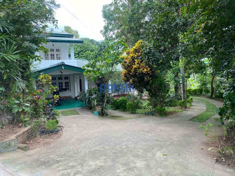 Live in luxury near to amaya hills kandy - photo 6