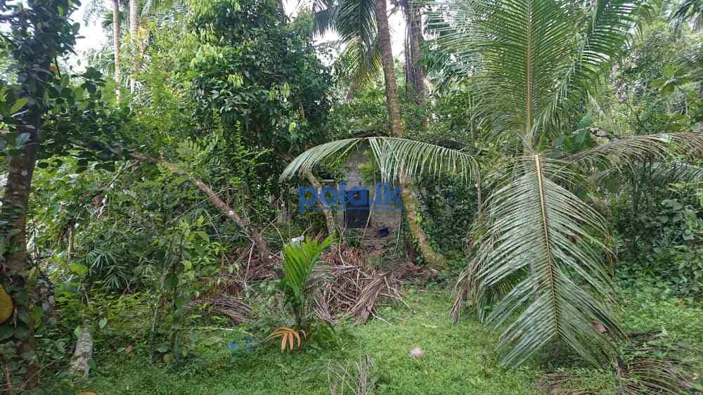 House for sale in nittabuwa - photo 8