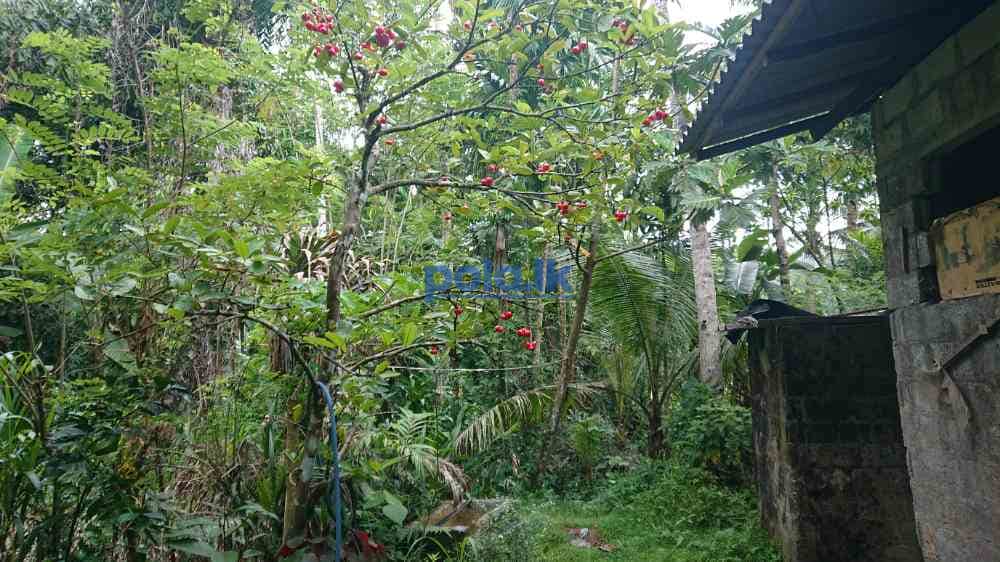 House for sale in nittabuwa - photo 4
