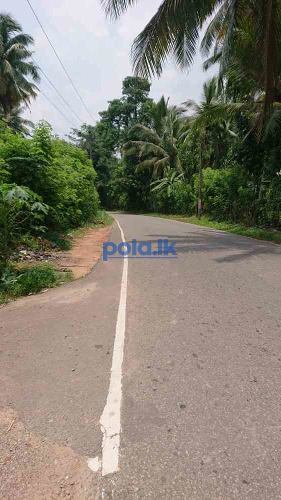 House for sale in nittabuwa - photo 10