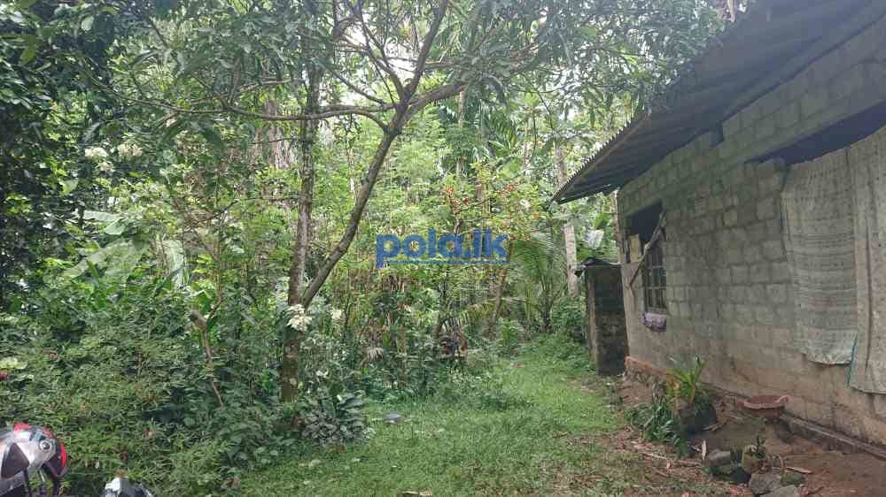 House for sale in nittabuwa - photo 2