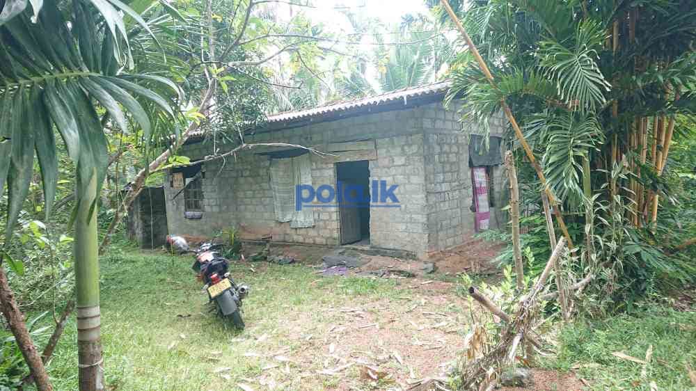 House for sale in nittabuwa - photo 1