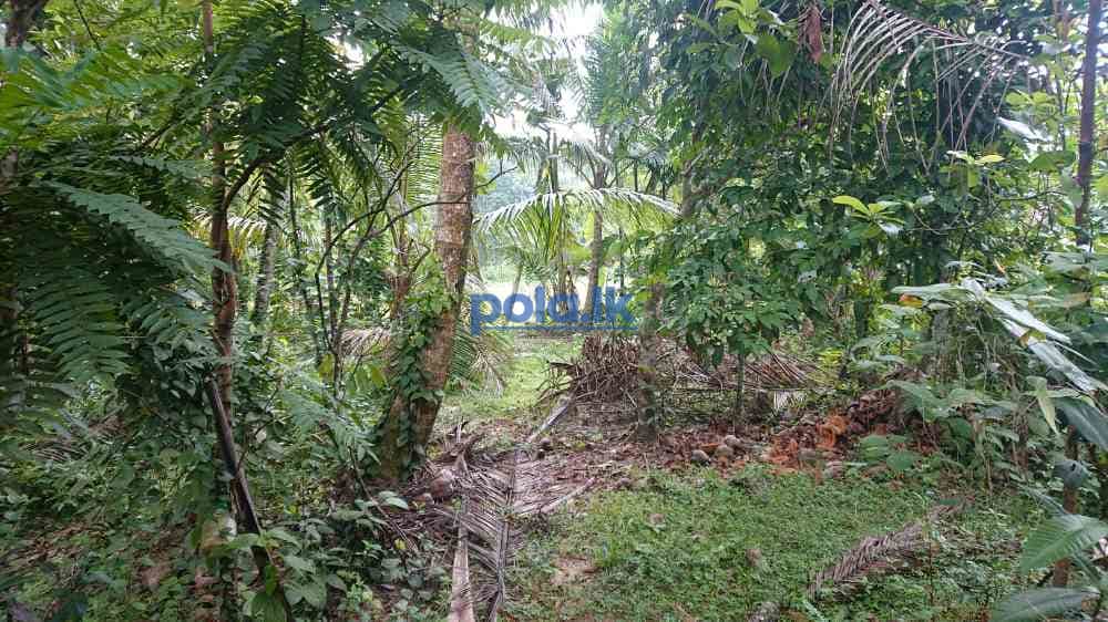 House for sale in nittabuwa - photo 6