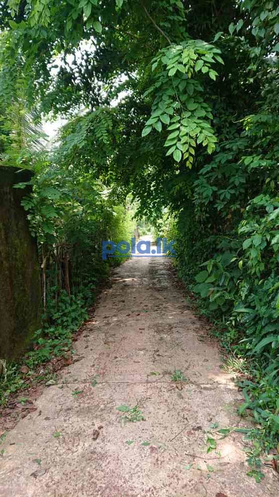 House for sale in nittabuwa - photo 9