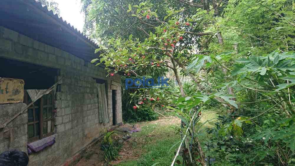 House for sale in nittabuwa - photo 5