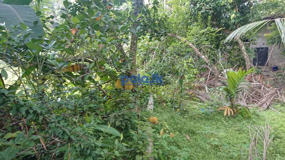 House for sale in nittabuwa - photo 7