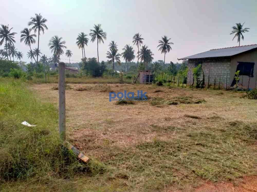 Land for sale in kurunegala - photo 1