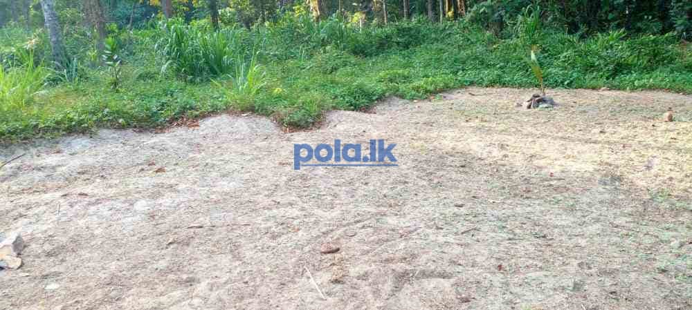 Land for sale - photo 2