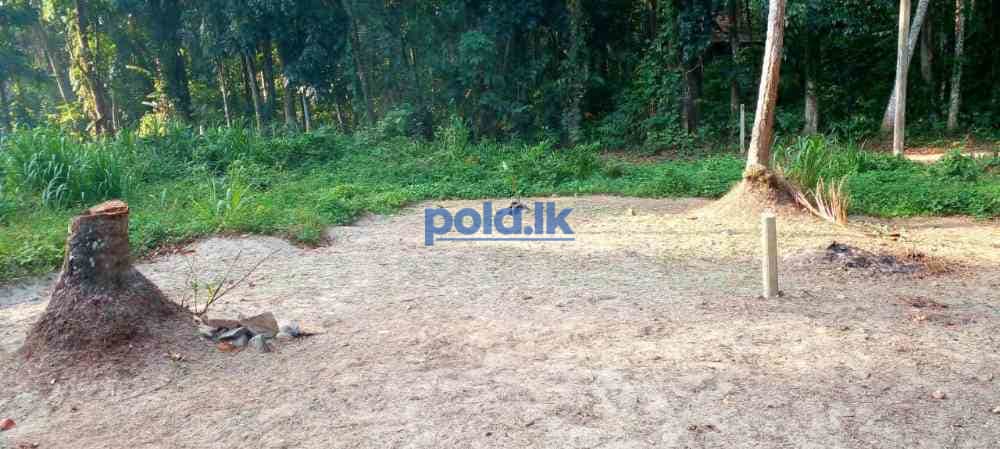 Land for sale - photo 1