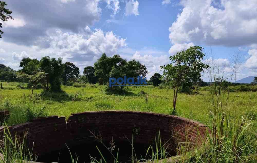 Land for sale in habarana - photo 19