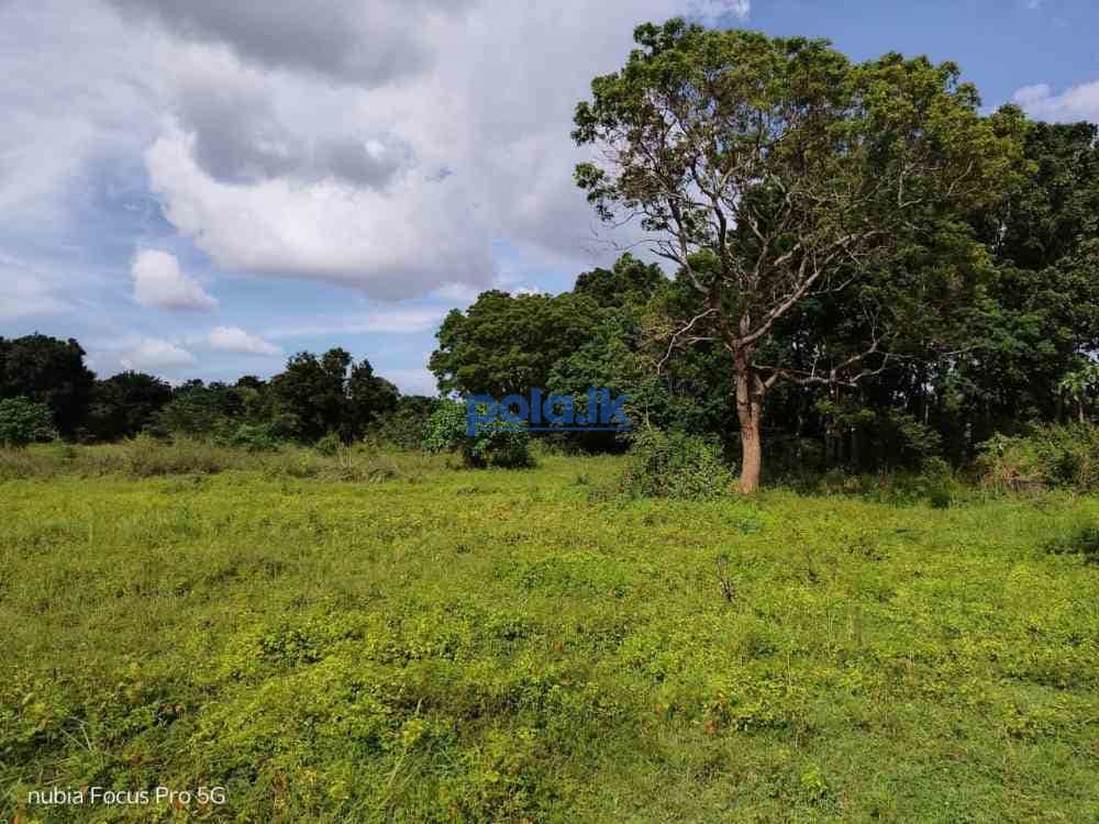 Land for sale in habarana - photo 1