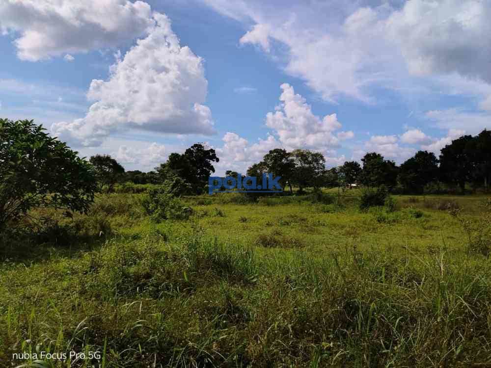 Land for sale in habarana - photo 7