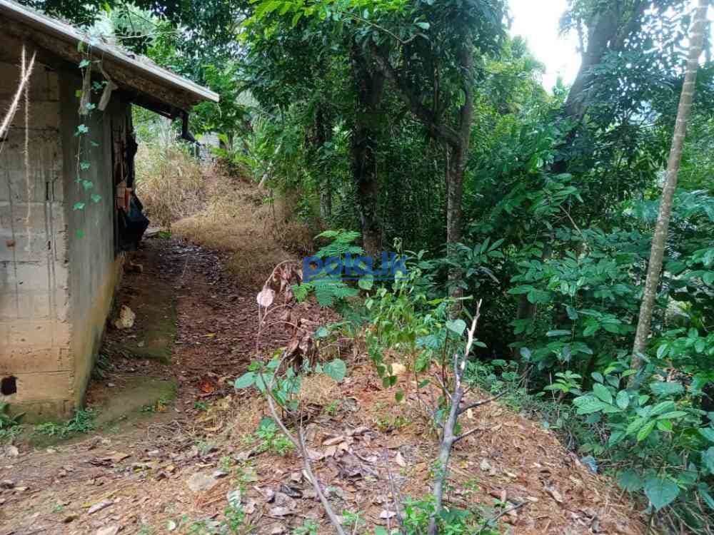 House for sale in pelmadulla - photo 5