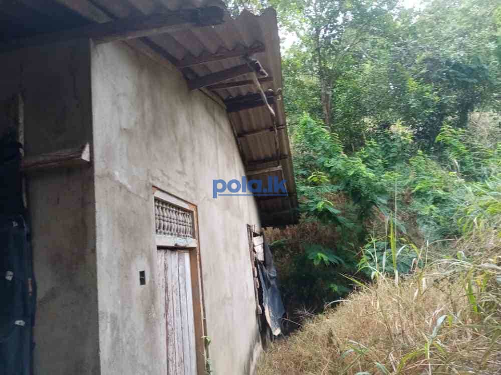 House for sale in pelmadulla - photo 3