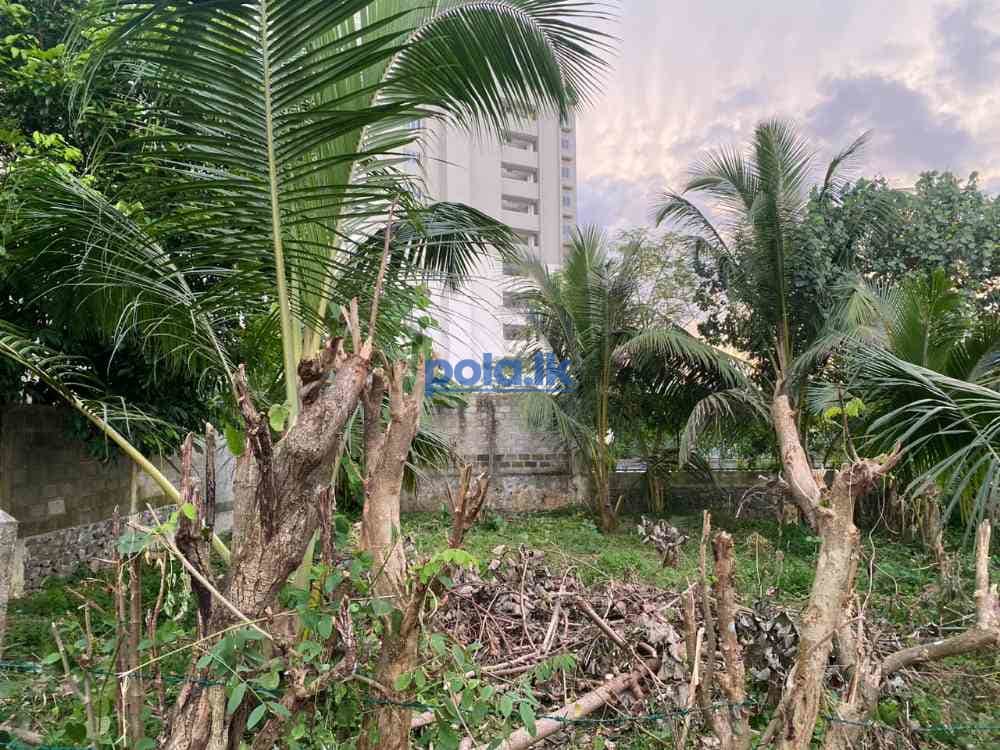 Land for sale in kottawa - photo 4
