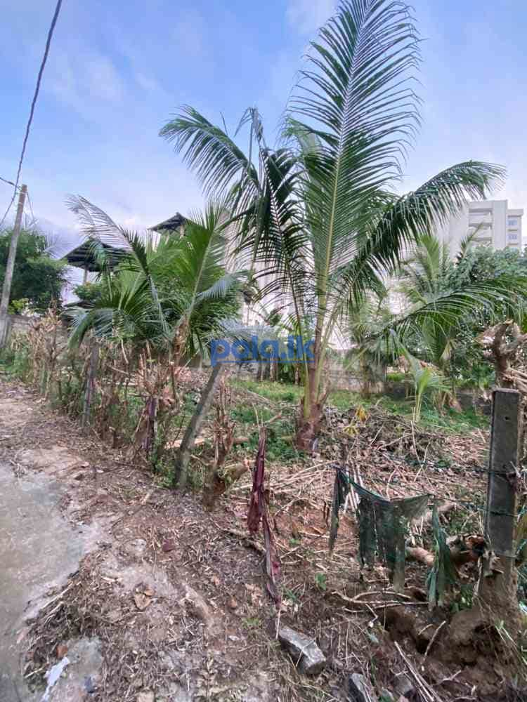 Land for sale in kottawa - photo 1