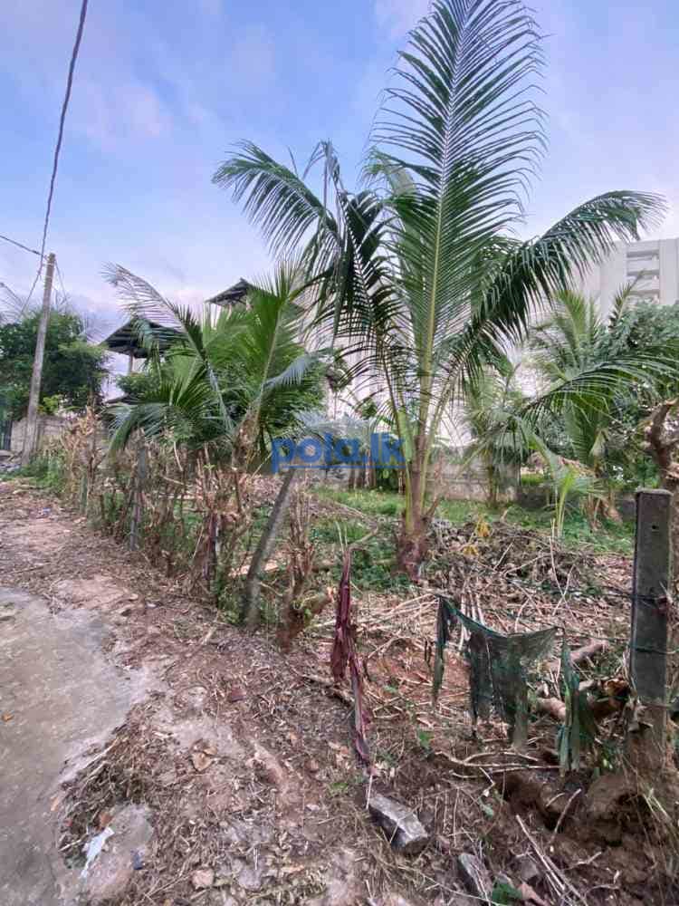 Land for sale in kottawa - photo 2