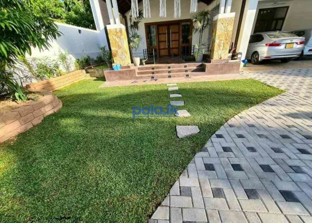 Malasiyan lawn installation service - photo 1