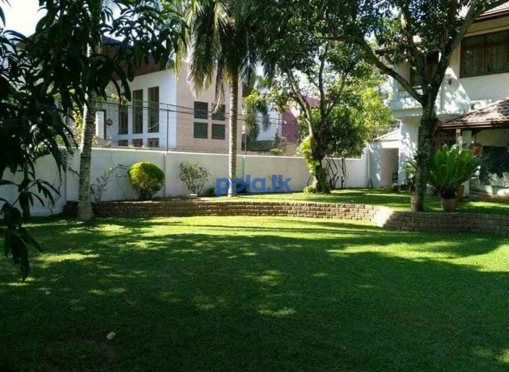 Malasiyan lawn installation service - photo 5