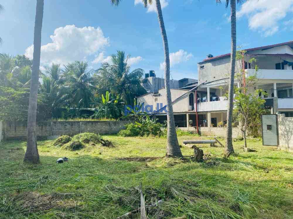 Land for sale - photo 6
