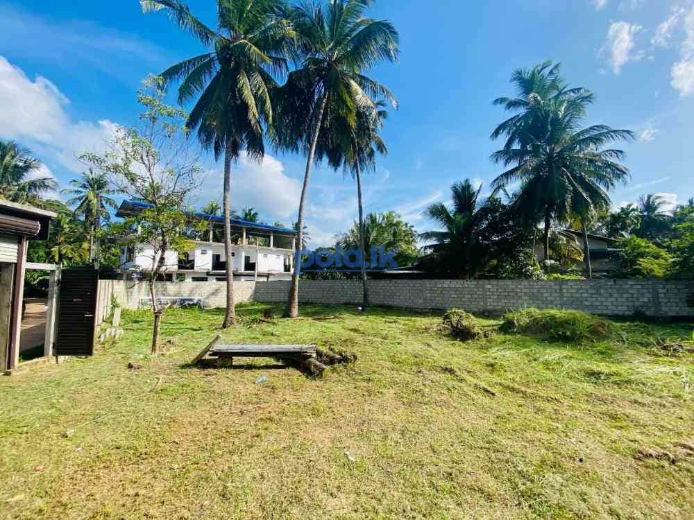 Land for sale - photo 3